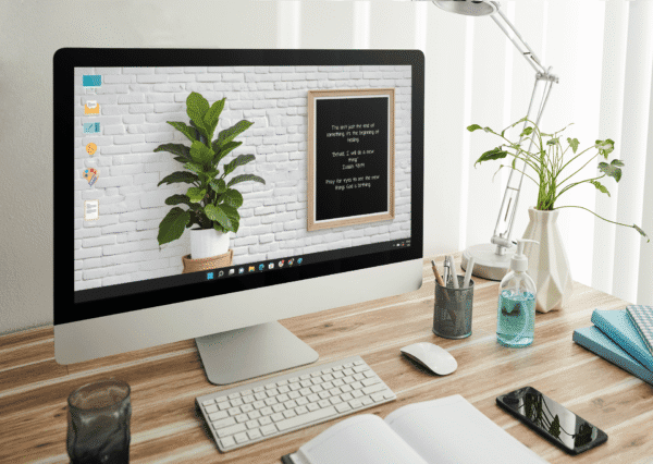 30 Day Auto Changing Devotional Desktop Wallpaper Pack for Divorce or Separation — Ficus and White Wall 4K Backgrounds - Image 3