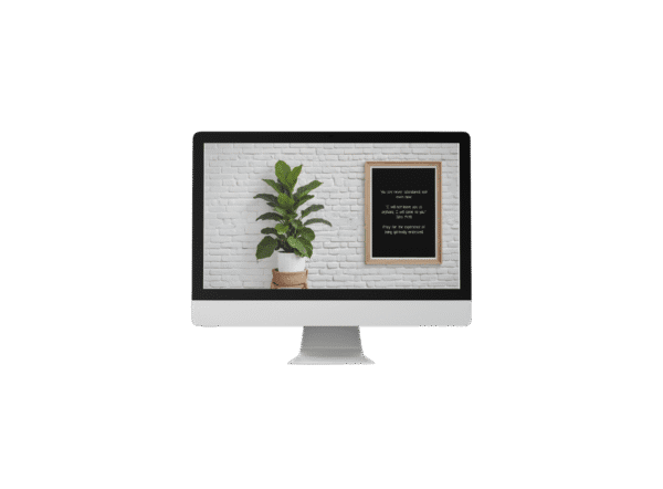 30 Day Auto Changing Devotional Desktop Wallpaper Pack for Divorce or Separation — Ficus and White Wall 4K Backgrounds