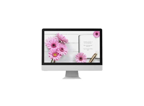 30 Day Auto Changing Devotional Desktop Wallpaper Pack for Getting Married — Pink Daisy 4K Backgrounds
