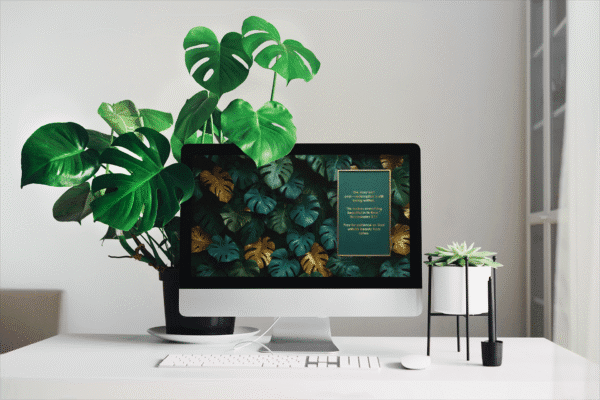 30 Day Auto Changing Devotional Desktop Wallpaper Pack for Grieving a Loss — Rainforest Monstera Gold Frame 4K Backgrounds - Image 2