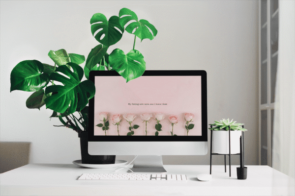 30-Day Auto Changing Self Love Affirmation Desktop Wallpaper – 4K Line of Roses Digital Download - Image 2