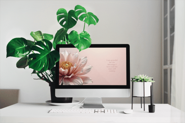30 Day Auto Changing Abundance Mindset Affirmation 4K Wallpapers – Floral Blush Digital Download - Image 2