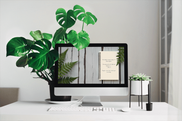 30 Day Auto Changing Christian Devotion 4K Wallpapers – Battling Anxiety or Fear with Ferns and Notepad - Image 2