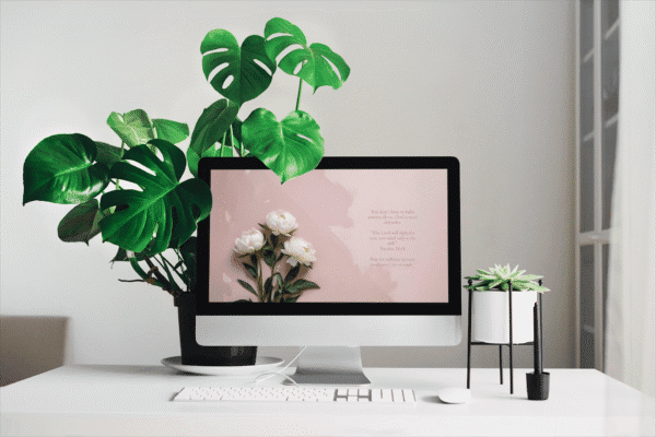 30 Day Auto Changing Christian Devotion 4K Wallpapers for Battling Anxiety or Fear – White Peonies Theme Digital Download - Image 2