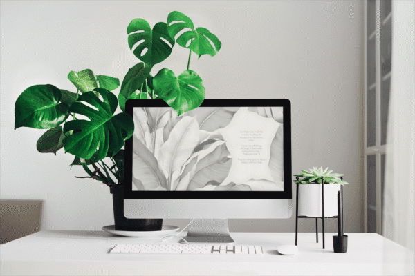30 Day Auto Changing Christian Devotion 4K Wallpapers – Building Confidence in Christ – White Banana Leaves Theme Digital Download - Image 2
