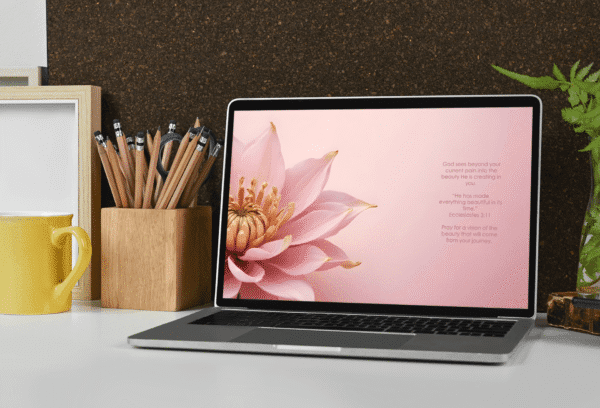 30 Day Auto Changing Christian Devotion 4K Wallpapers – Dealing with Depression Theme with Pink Flower - Image 4