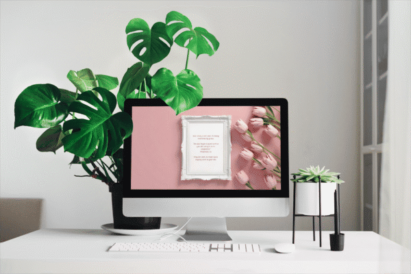 30 Day Auto Changing Christian Devotion 4K Wallpapers – Letting Go of the Past with Tulips and White Frame - Image 2