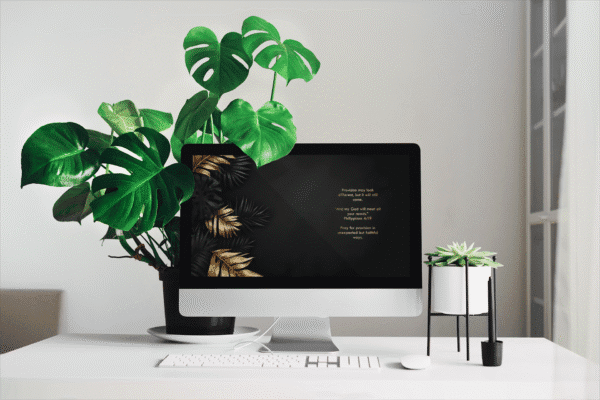 30 Day Auto Changing Christian Devotional Desktop Wallpaper – Losing a Job or Changing Careers – 4K Black and Gold Tropical Leaves - Image 2
