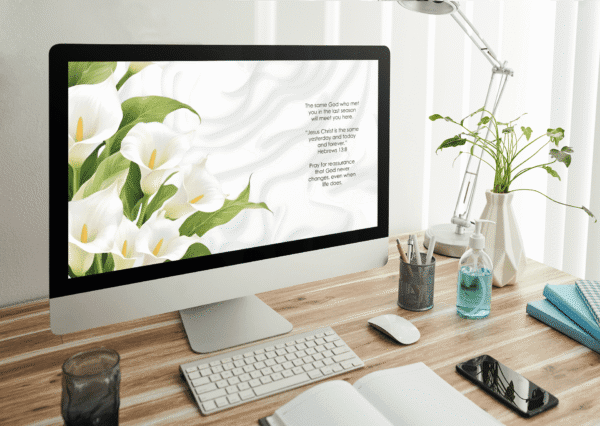 30 Day Auto Changing Christian Devotion 4K Wallpapers – Moving to a New City with Calla Lily Theme - Image 3