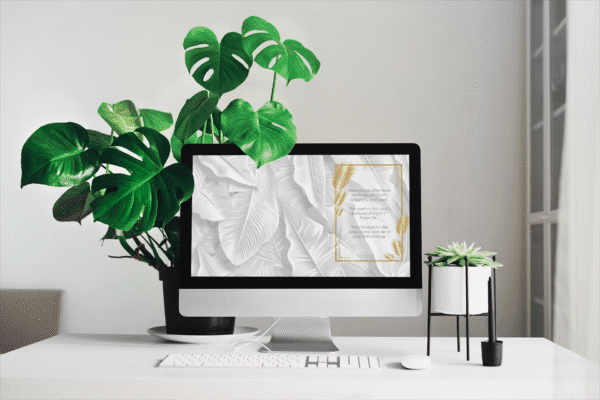 30 Day Auto Changing Christian Devotional 4K Wallpapers – Moving to a New City Theme – Tropical Gold Digital Download - Image 2