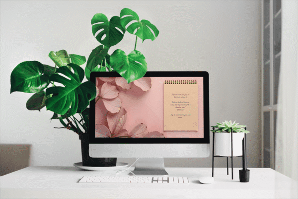 30 Day Auto Changing Christian Devotion 4K Wallpapers – Overcoming Insecurity and Low Self-Worth – Blush Notes Theme - Image 2