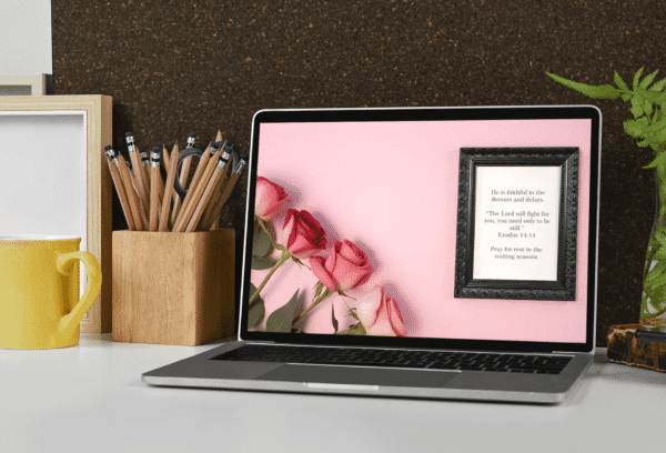 30 Day Auto Changing Christian Devotional 4K Wallpapers – Rebuilding Faith After Disappointment with Roses and Black Frame - Image 4