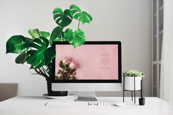 30 Day Christian Devotion 4K Wallpapers for Struggling with Loneliness – Auto Changing Rose Theme Digital Download - Image 2