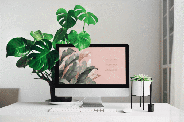 30 Day Auto Changing Christian Devotion 4K Wallpapers – Wrestling with Doubt or Crisis of Faith – Tropical Blush Theme Digital Download - Image 2